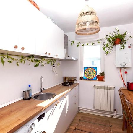 מנגליה Apartamentul Cu Plante Etaj 4 מראה חיצוני תמונה
