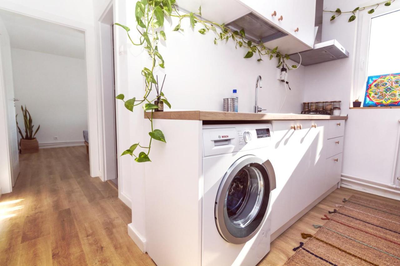 מנגליה Apartamentul Cu Plante Etaj 4 מראה חיצוני תמונה