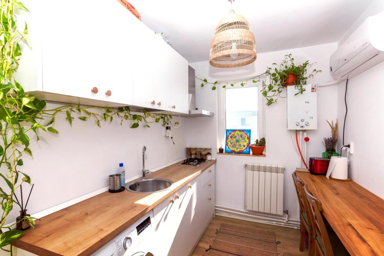 מנגליה Apartamentul Cu Plante Etaj 4 מראה חיצוני תמונה
